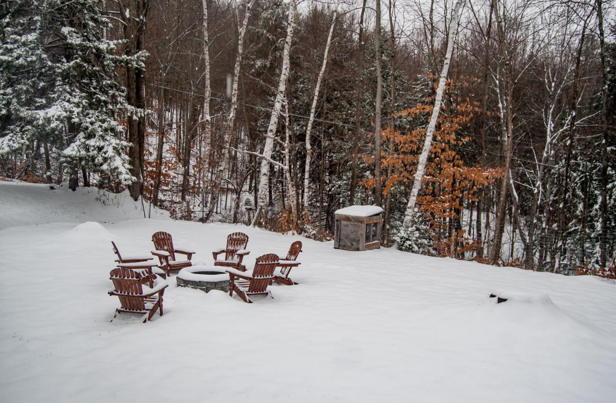 לדלו Birch House: Cozy Cabin 5 Min From Okemo מראה חיצוני תמונה